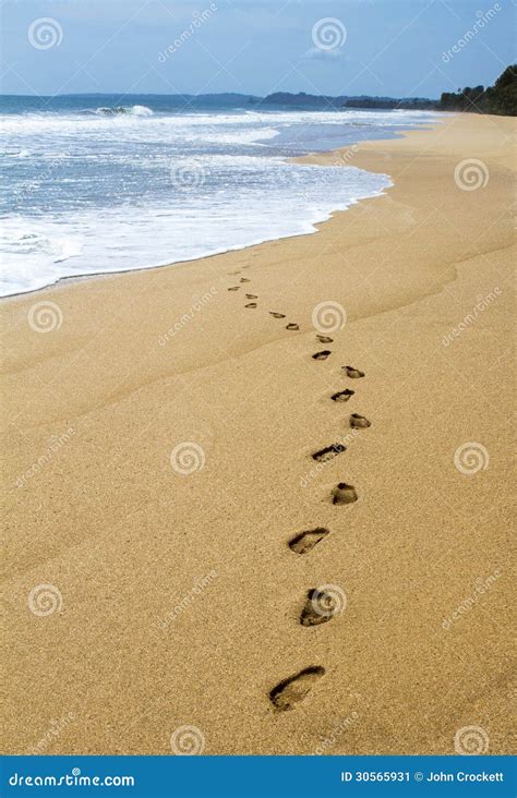 Passos na areia água imagem de stock Imagem de pegadas 30565931