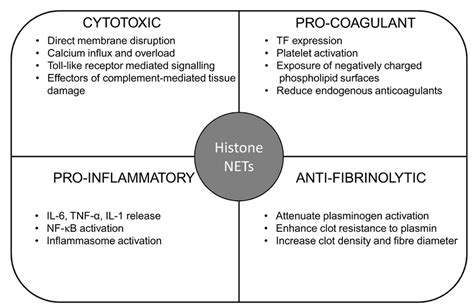 Functional Consequences Of Circulating Histones And Neutrophil