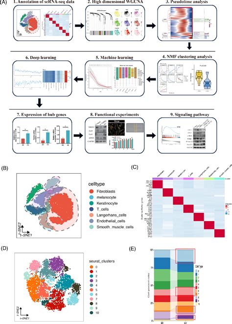 Figure From Machine Learning And Singlecell Transcriptome Profiling