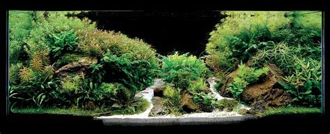 My Aquatic World Ada International Aquatic Plants Layout Contest