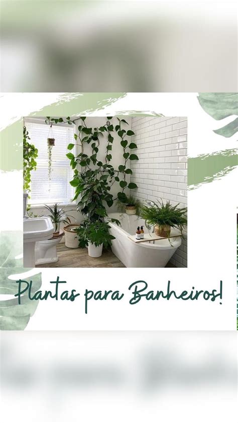 Plantas Perfeitas Para Usar No Banheiro Tijolo Jardim Jardim De