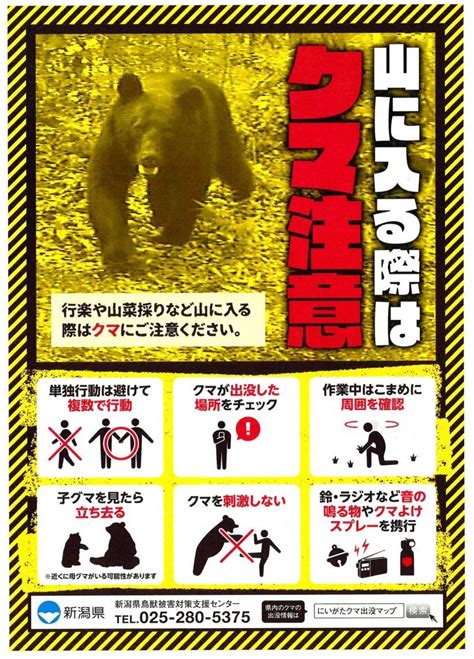 新潟県が、妙高市でのクマ人身被害を受け「クマ出没警戒注意報」を発表 新潟県内のニュース