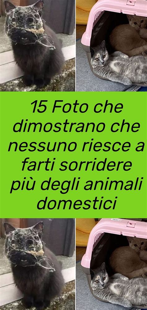 15 Foto che dimostrano che nessuno riesce a farti sorridere più degli