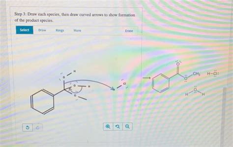 Solved Examination Of The Fischer Esterification Mechanism Chegg