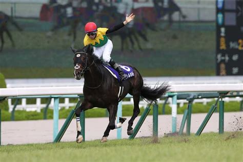 【有馬記念の注目点】ラストランのタイトルホルダーは有終の美を飾ることができるか｜競馬ニュース｜競馬予想のウマニティ