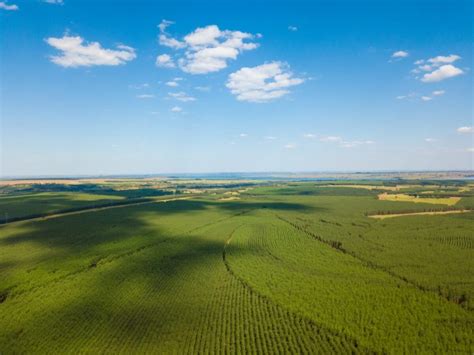 Eldorado Brasil publicó el Informe Anual de Sostenibilidad 2020