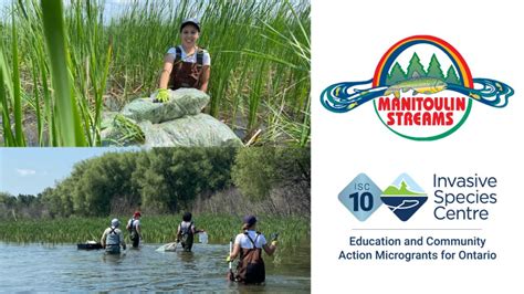 Invasive Species Centre Microgrant Feature Manitoulin Streams Restoration Invasive Species Centre