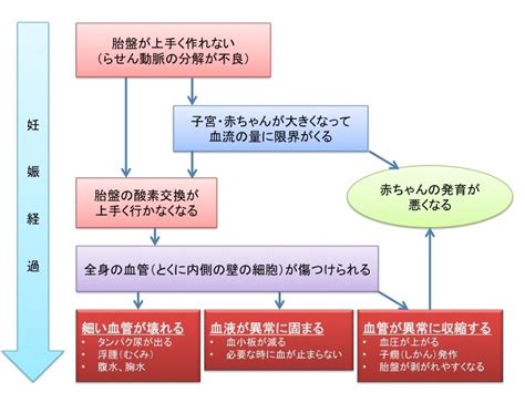 妊娠高血圧症候群とは？ 原因と予防法－血流が滞り胎児に影響がでる可能性も メディカルノート