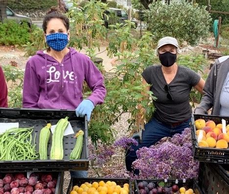 Para aliviar el estrés acceder a los alimentos las personas