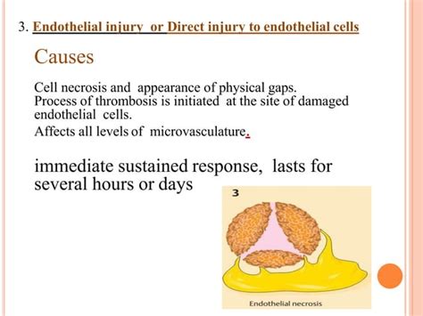 Patho Inflammation Ppt