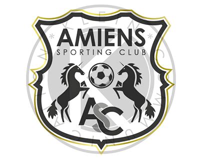 Amiens Soccer Projects :: Photos, videos, logos, illustrations and ...