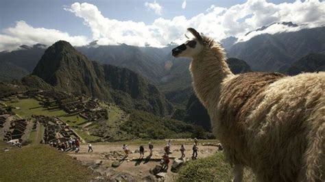 Quipu Virtual - Boletín N° 200 - Noticias - Embajada del Perú en ...