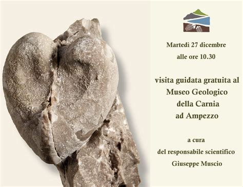 Visita Guidata Al Museo Geologico Della Carnia Ore