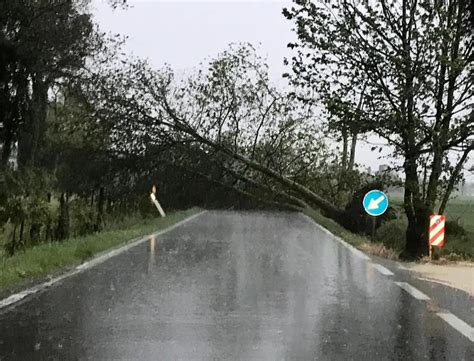 Maltempo Violenta Grandinata E Vento Forte Sulla Bassa Giornale Di