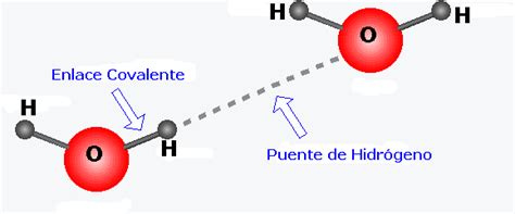 Quimica