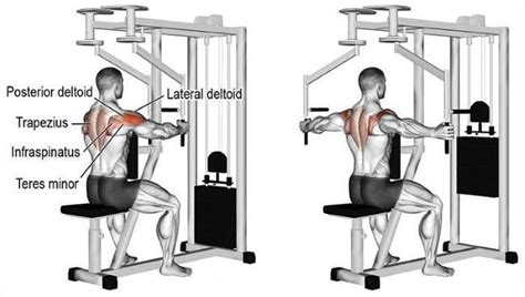 How To Rear Delt Fly Machine - Machine