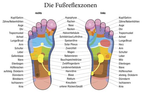 Fußreflexzonen Therapie Carola Holtmeier