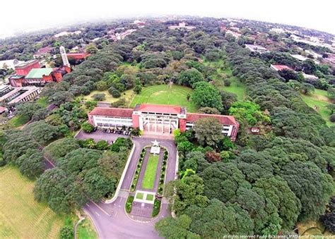 Travel And Tourism Up Dilimans Trees Sunken Garden