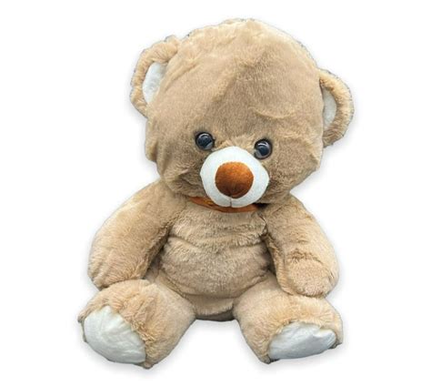 Someones In A Makro Toys And Beyond Classic Teddy Bear Large Plush