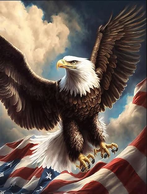 Amazon Liulyour Eagle American Flag Diamond Art Painting Kits For