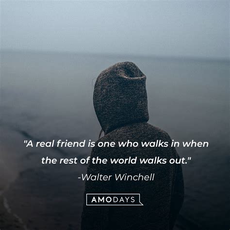 50 No Friend Quotes: A Quest from Solitude to Connection