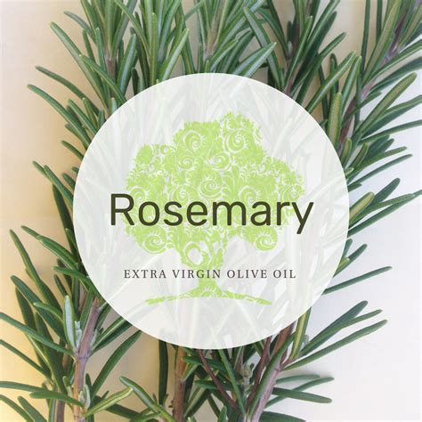 Whole Herb Rosemary Fused Olive Oil — Nikas Olive