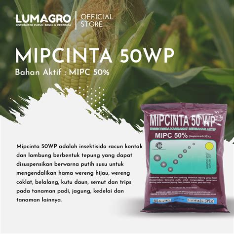 Insektisida Mipcinta 50WP 100gr MIPC Lumagro