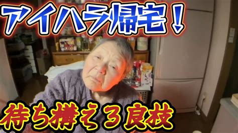 【関慎吾】 良枝怒！ アイハラついに帰宅 20240119 Youtube