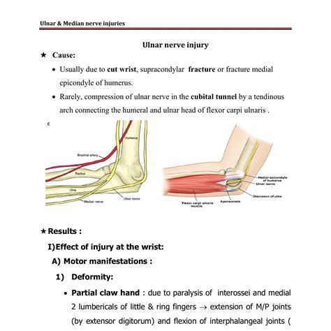 Ulnar And Median Nerve Injuries Doc DocDroid