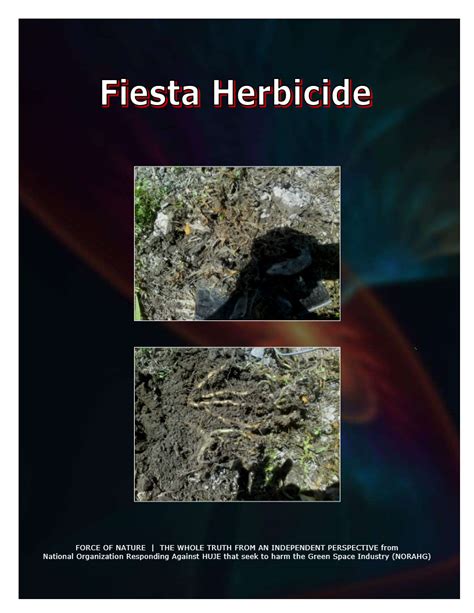 Green Alternative Fiesta Herbicide 44 Pesticide Truths