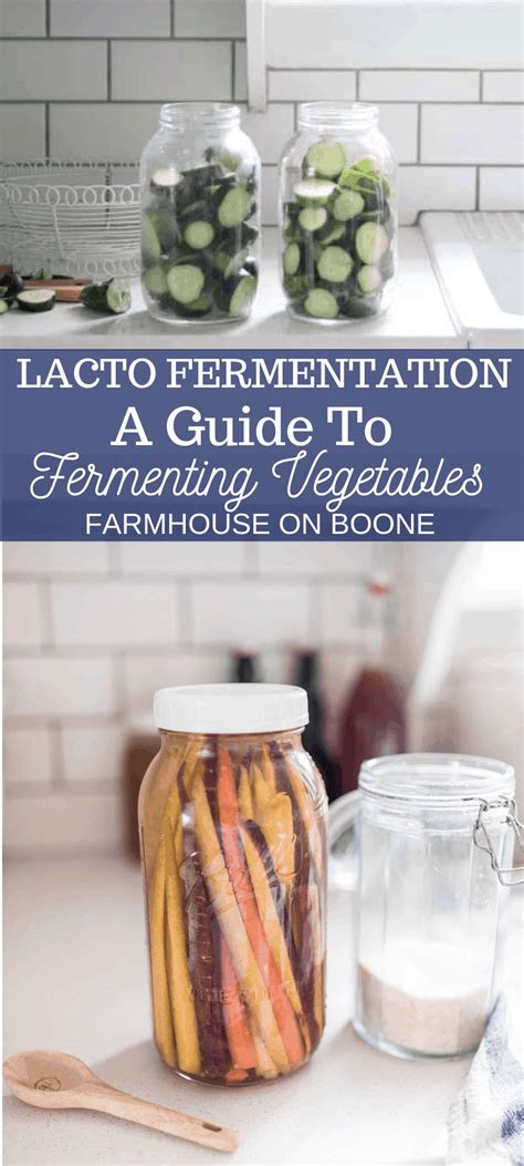 Lactic Acid Fermentation Food