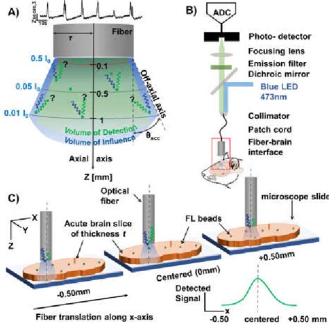 Figure From Spatial Detection Characteristics Of A Single Photon