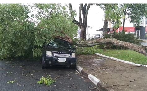 Chuva Com Ventos Fortes Derruba árvores Em Guaxupé E Destelha Quartel