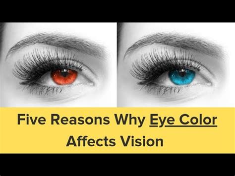 Does Eye Color Affect Vision Five Reasons Why Eye Color Affects