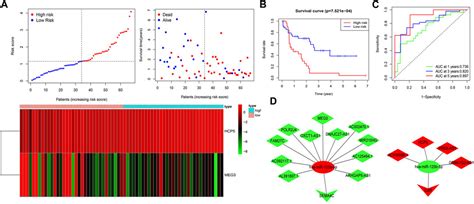 Frontiers Identification Of Immunity Related LncRNAs And Construction