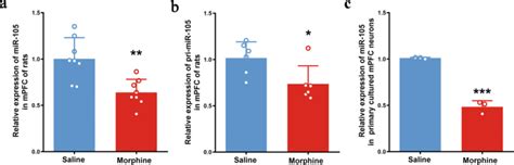 Two Kinds Of Transcription Factors Mediate Chronic Morphine Induced