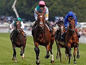 Frankel (GB) - Horse Profile - BloodHorse