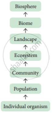 What is ecological hierarchy? Name the levels of ecological hierarchy ...