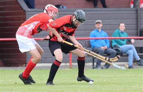 Weekend in review - Shinty.com