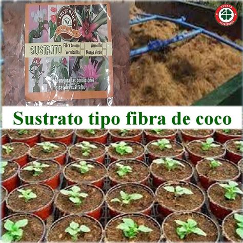 Sustrato Tipo Fibra De Coco Vivero Estaciones Agroshow