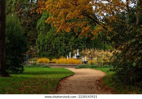 42 Cambridge University Botanic Garden Autumn Images, Stock Photos, 3D ...