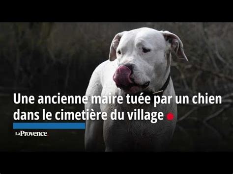 Nonag Naire Tu E Par Un Chien Dans Un Cimeti Re Du Gard Un Levage