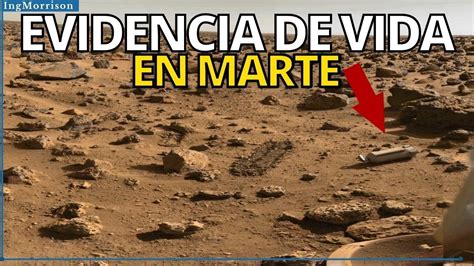 Descubrimiento De La Nasa Recopila Prueba De Vida En Marte Misiones Viking Cráter Planeta Marte