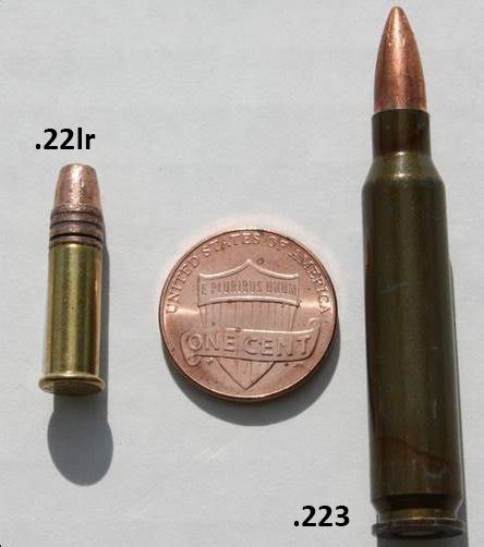 6+ Where To Shoot A Raccoon With A Pellet Gun - ShannelKacee