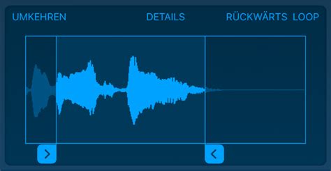 Verwenden des Samplers in GarageBand für das iPad Apple Support DE