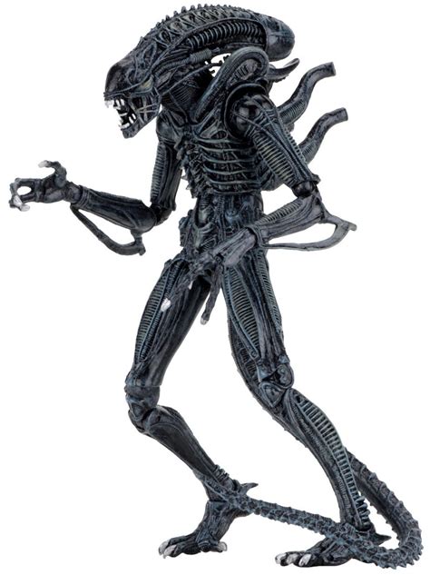 NECA Alien Warrior BLUE Alien 9 Action Figure Ultimate Version - ToyWiz