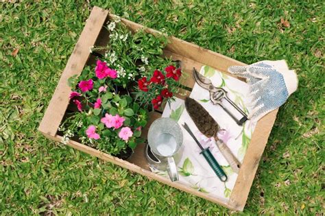 Jarra Metálica Cerca De Flores Y Equipo De Jardinería En Contenedor De