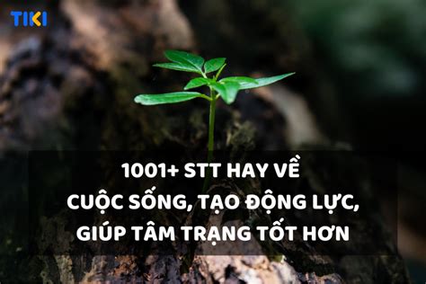 1001 Stt Hay Về Cuộc Sống Ý Nghĩa Những Câu Nói Hay Làm Thay Đổi Cuộc