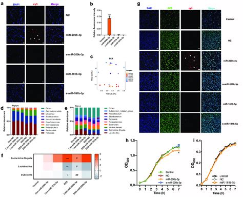 Effects Of Mir B P On Microbiota And E Coli A B Representative