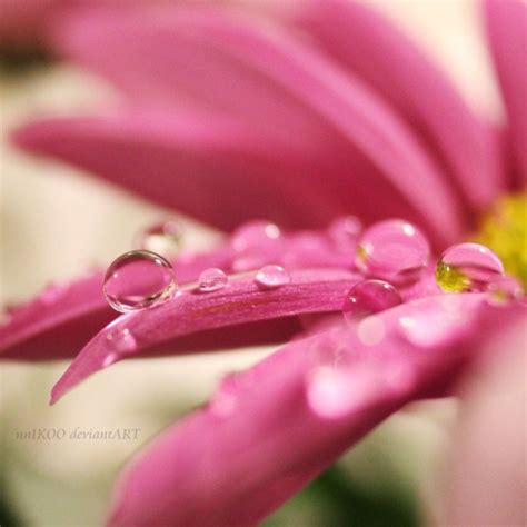 Macro Photography Water Drops2 – Creativeoverflow